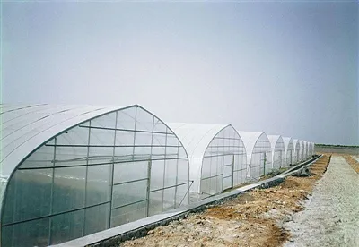 Výber skleníkových plastov podľa potrieb vašej rastliny