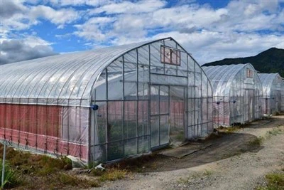 Skleník z polyetylénovej fólie